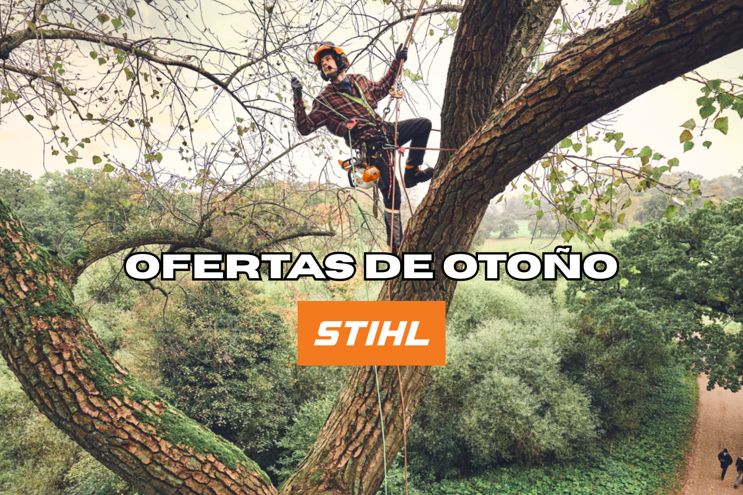STIHL - Otoño y Olivar 2025